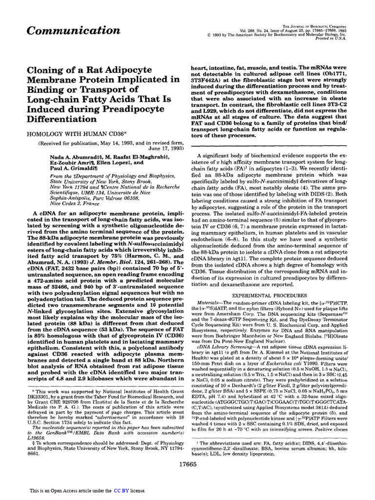 Cloning Rat Adipocyte Protein for Fatty Acid Transport | PDF ...