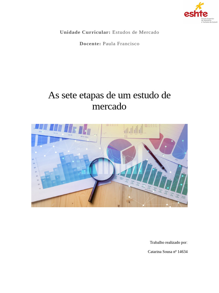 Sete Etapas do Estudo de Mercado | PDF | Mercado (economia) | Informação