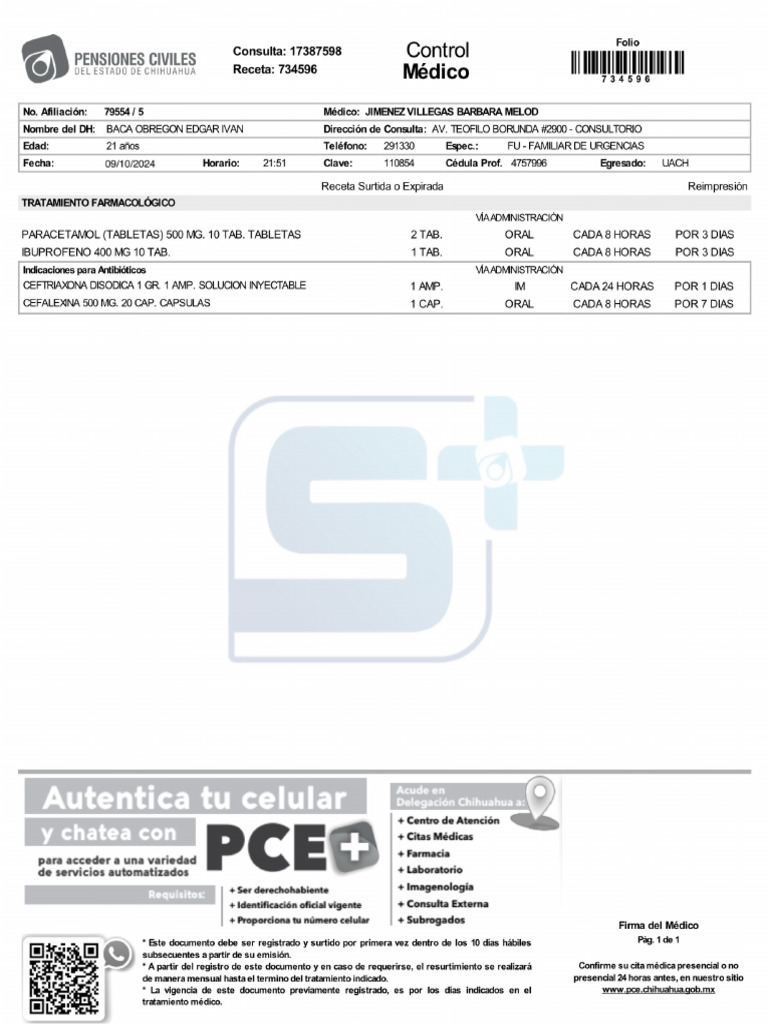 Pce 17387598 | PDF
