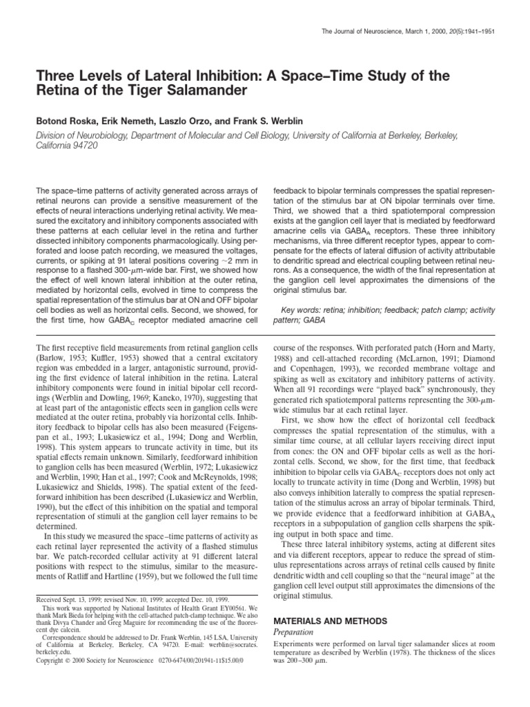 Three Levels of Lateral Inhibition A SpaceTime Study of The Retina of ...
