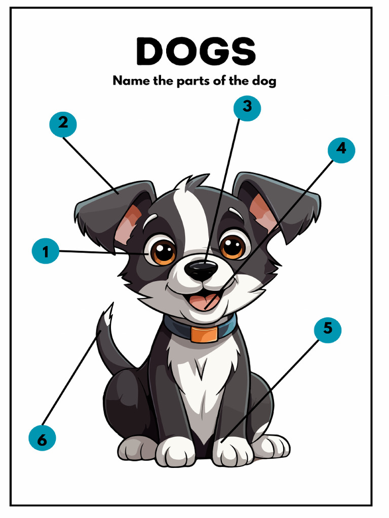 Labelling Dog Body Parts Worksheet in Teal Illustrative Style | PDF