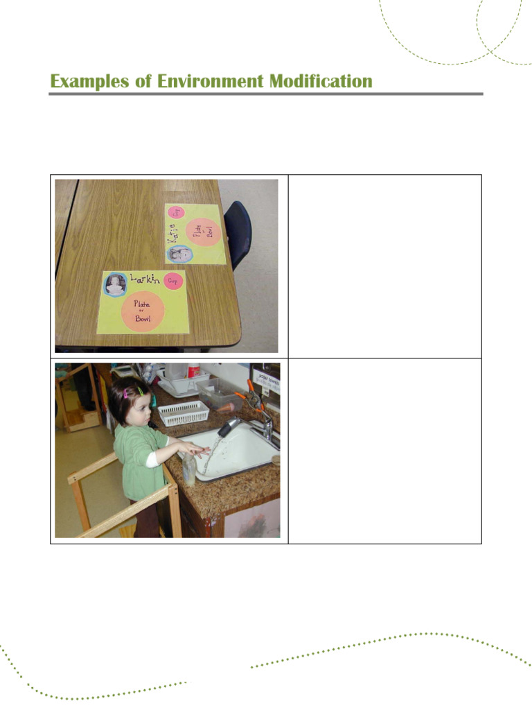 Environmental Modification Examples | PDF