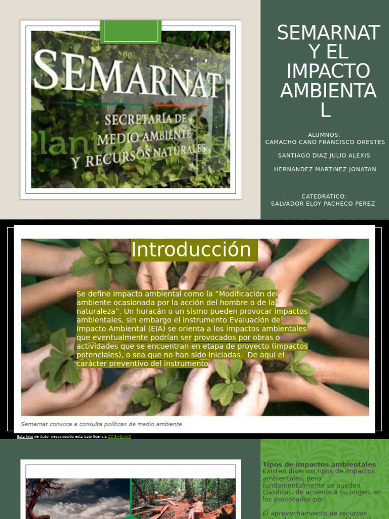 Evaluación de Impacto Ambiental SEMARNAT | PDF | Entorno natural ...