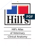 Hill's Atlas of Veterinary Anatomy