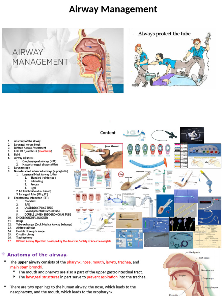 Airway Management | PDF | Larynx | Respiratory Tract