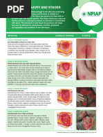 Pressure Ulcer Categorisation Poster | PDF | Skin | Wound