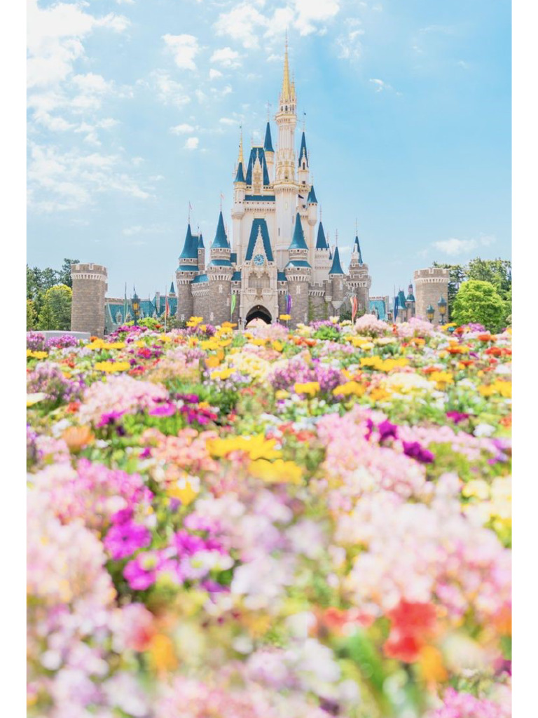 N12 | PDF