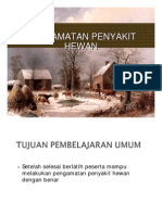 Pengamatan Penyakit Hewan