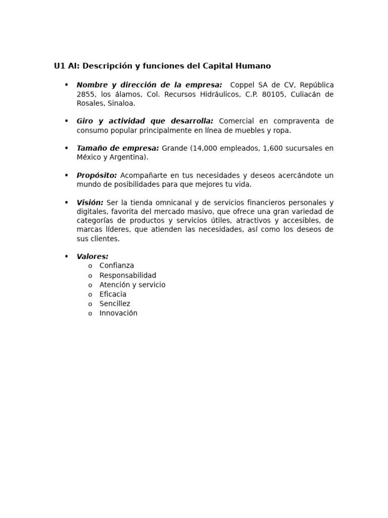 UAG Descripcion y Funciones Del Capital Humano | PDF | Gestión de