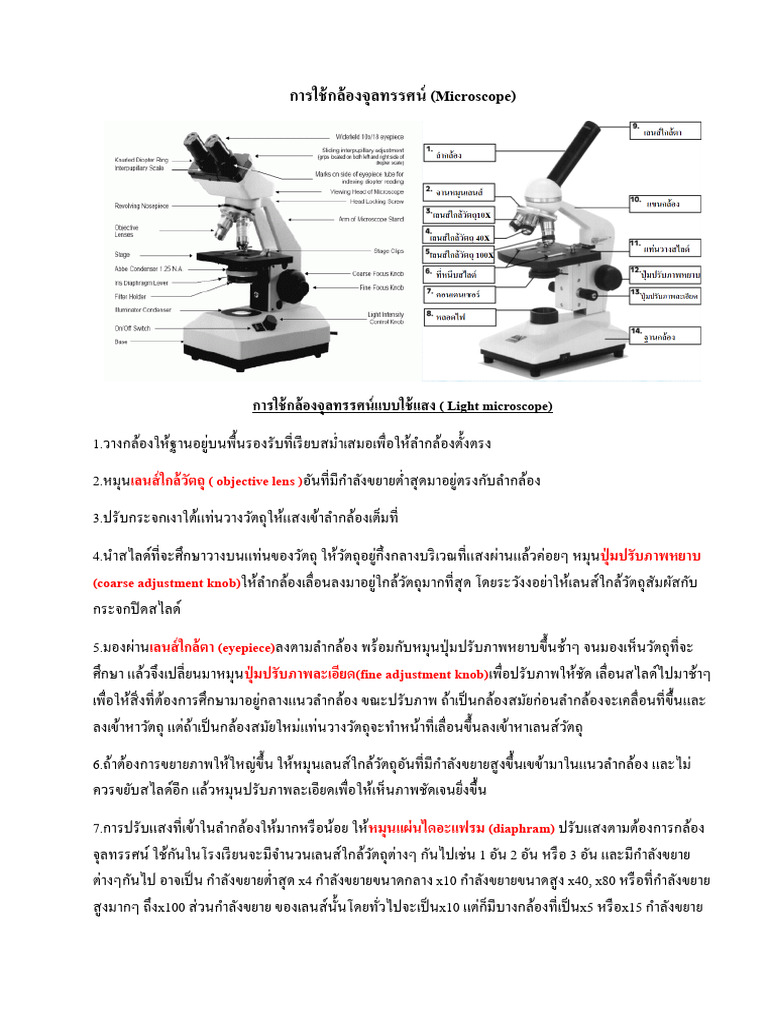 Microscope | PDF