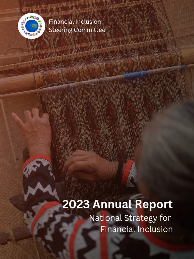 2023 NSFI Annual Report Overview | PDF | Financial Inclusion | Microfinance