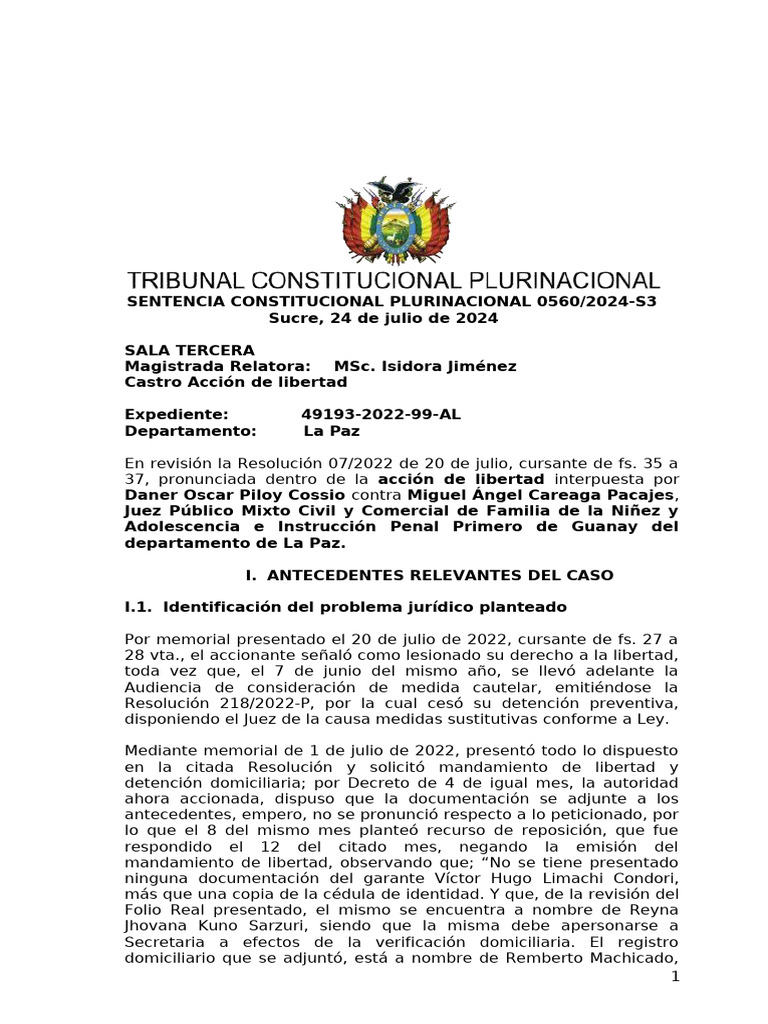 Acción de libertad SCP 0988/2024 | PDF | Mandato | Caso de ley