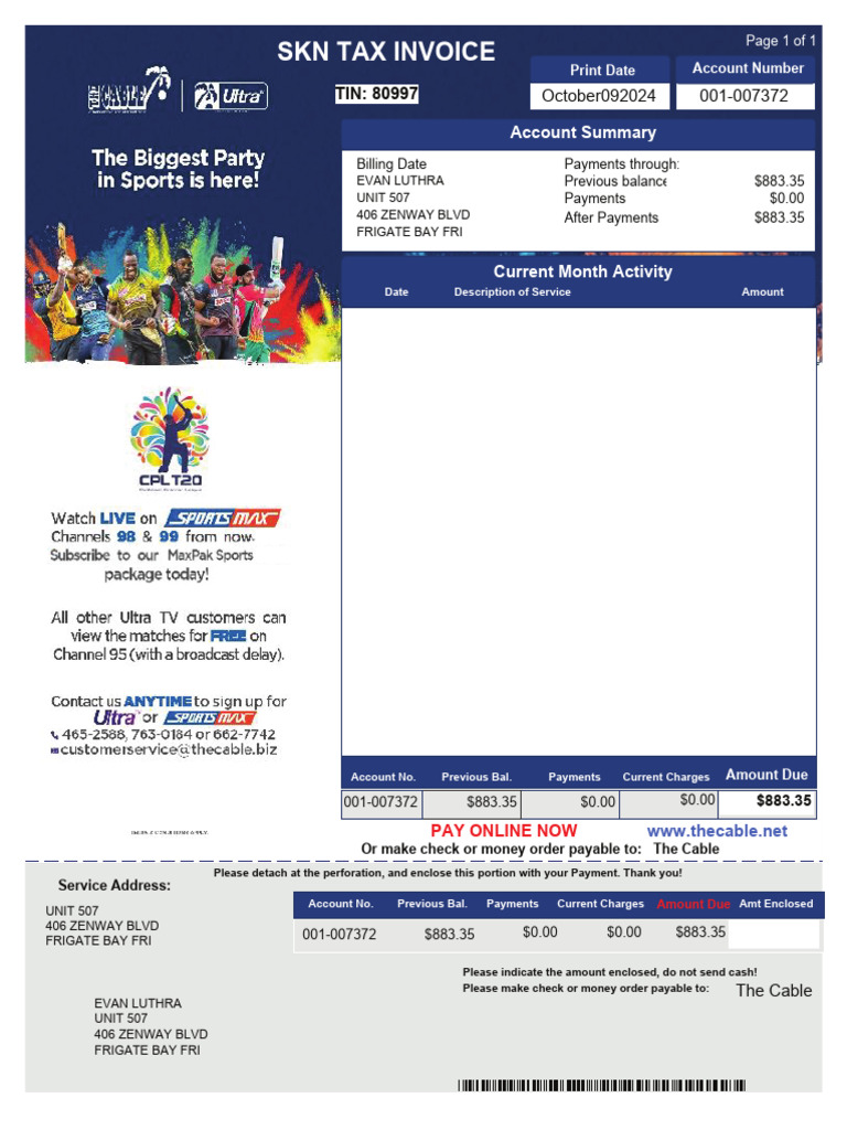 SKN Tax Invoice for Evan Luthra | PDF | Banking Technology | Services ...