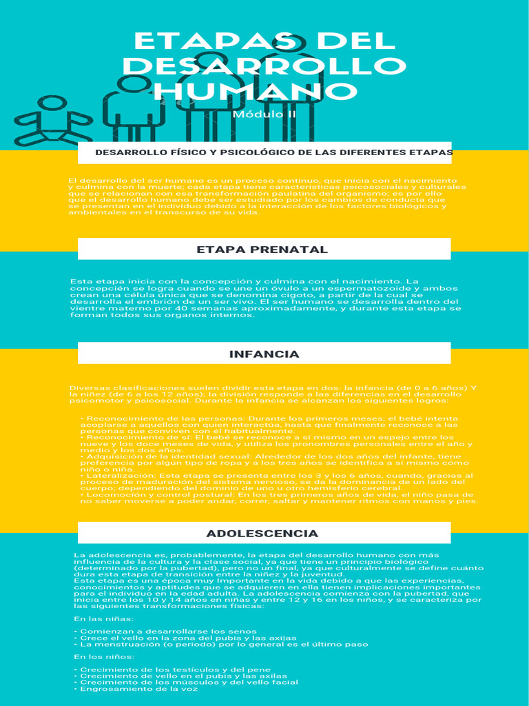 Etapas del Desarrollo Humano | PDF | Adolescencia | Adultos