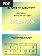 Raport de Activitate Sem I