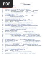 Primary 1 First Term Exam Questions | PDF | Plants