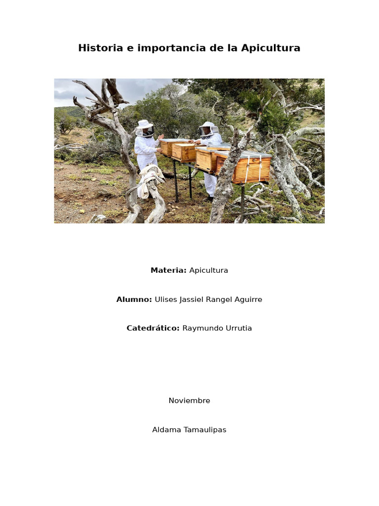 Importancia de la Apicultura en México | PDF | Apicultura | Miel