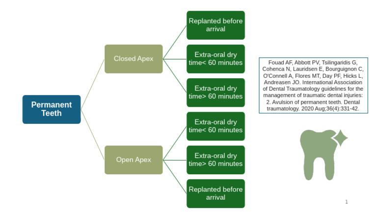 Guidelines for Avulsed Permanent Teeth | PDF