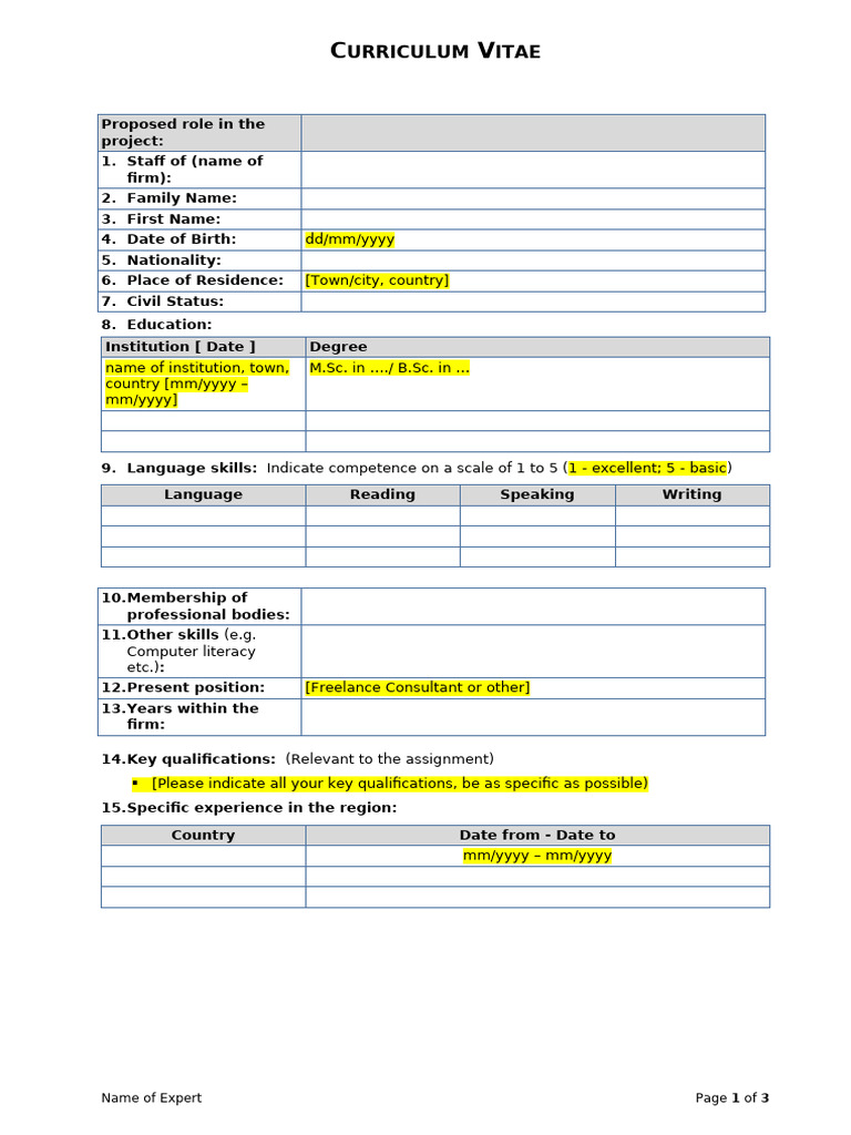 Cv-Eu Format en Commented | PDF