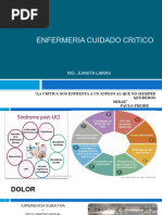 Semiología del Dolor: Alicia Fredusa | PDF