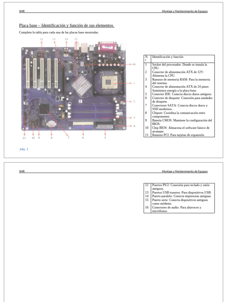 Placas Base - Identificación y Función de Sus Elementos | PDF ...