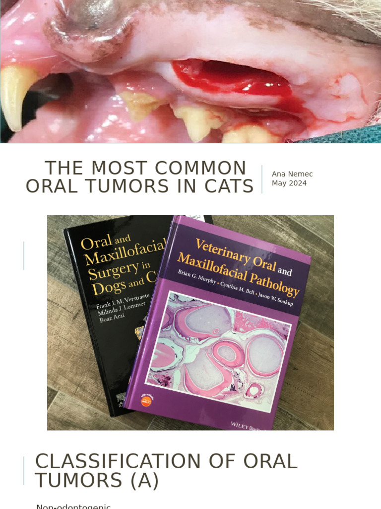View of 2 Oral Tumors in Cats 90 Min | PDF | Radiation Therapy | Metastasis