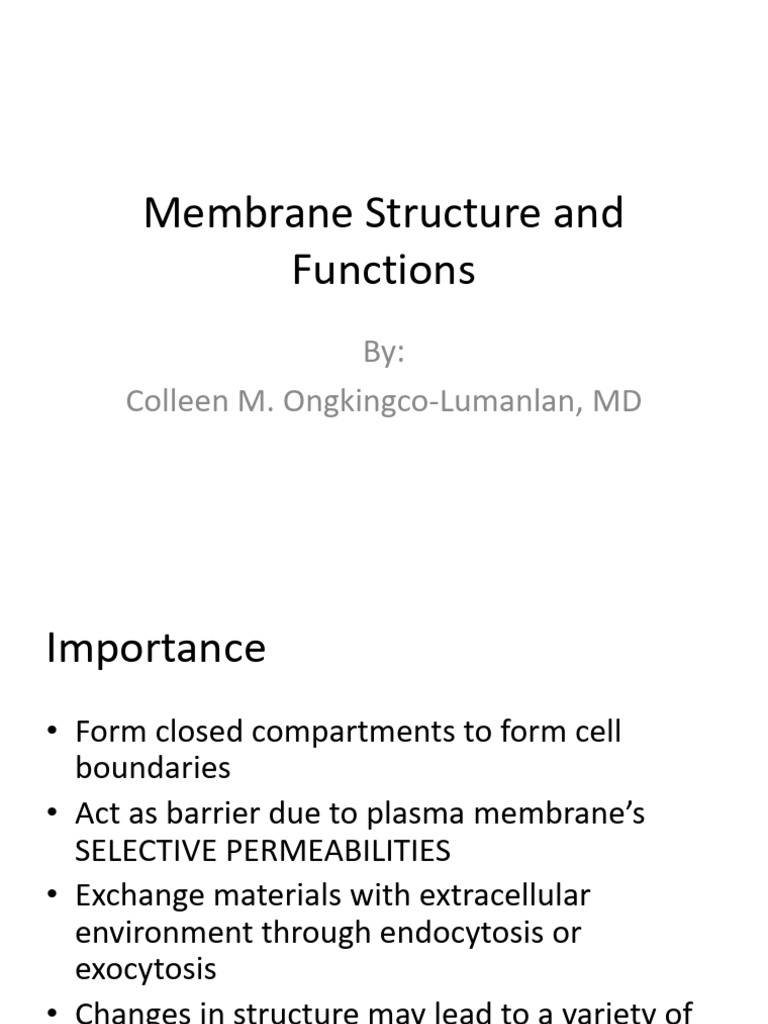 LESSON 4 | PDF | Cell Membrane | Lipid Bilayer