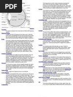 Download Parts and Functions of Eye by Desa Refuerzo SN79958394 doc pdf