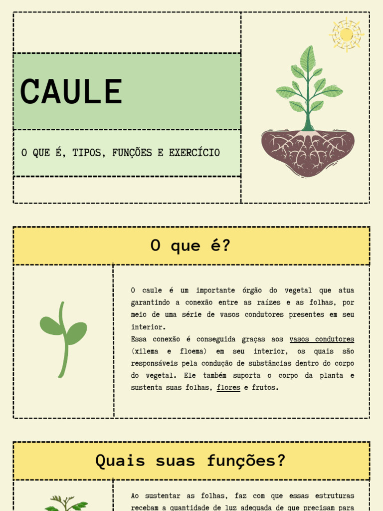 Tipos e Funções dos Caules das Plantas | PDF | Raiz | Plantas