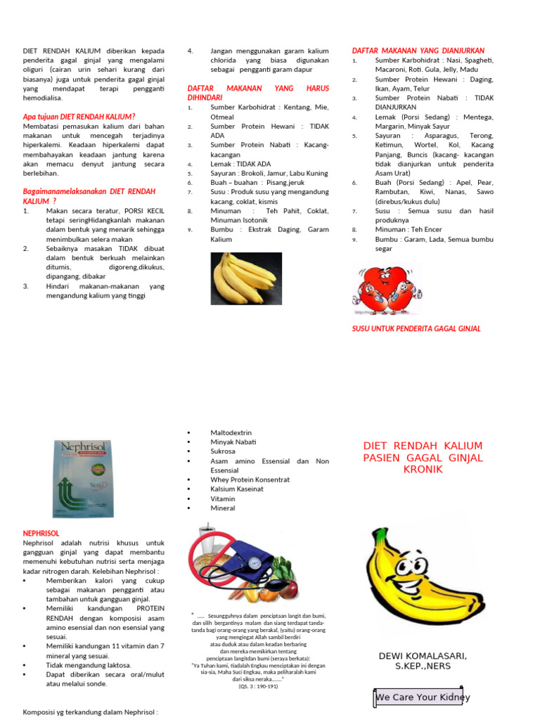 Leaflet GGK Dan Diet Rendah Kalium | PDF