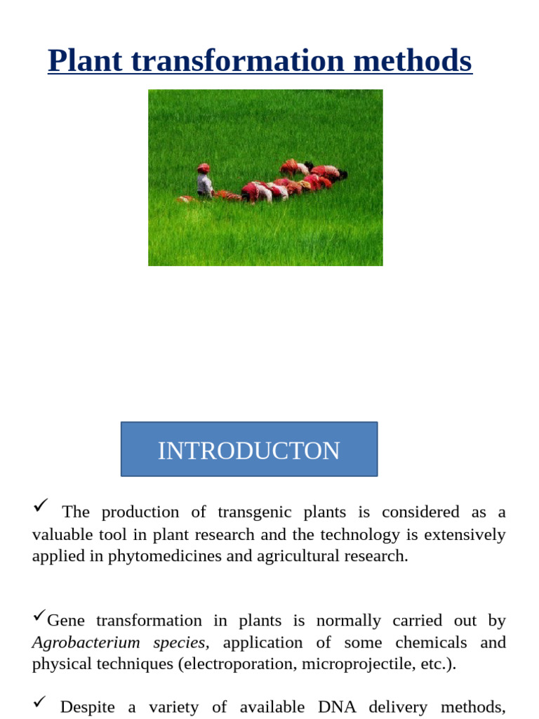 9 Plant Transormation Methods RNT | PDF | Transformation (Genetics ...