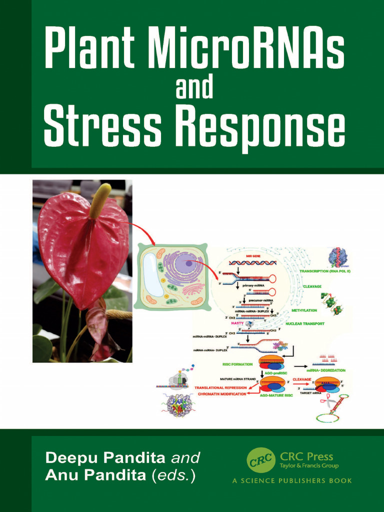 Plant MicroRNAs in Stress Response | PDF | Micro Rna | Rna