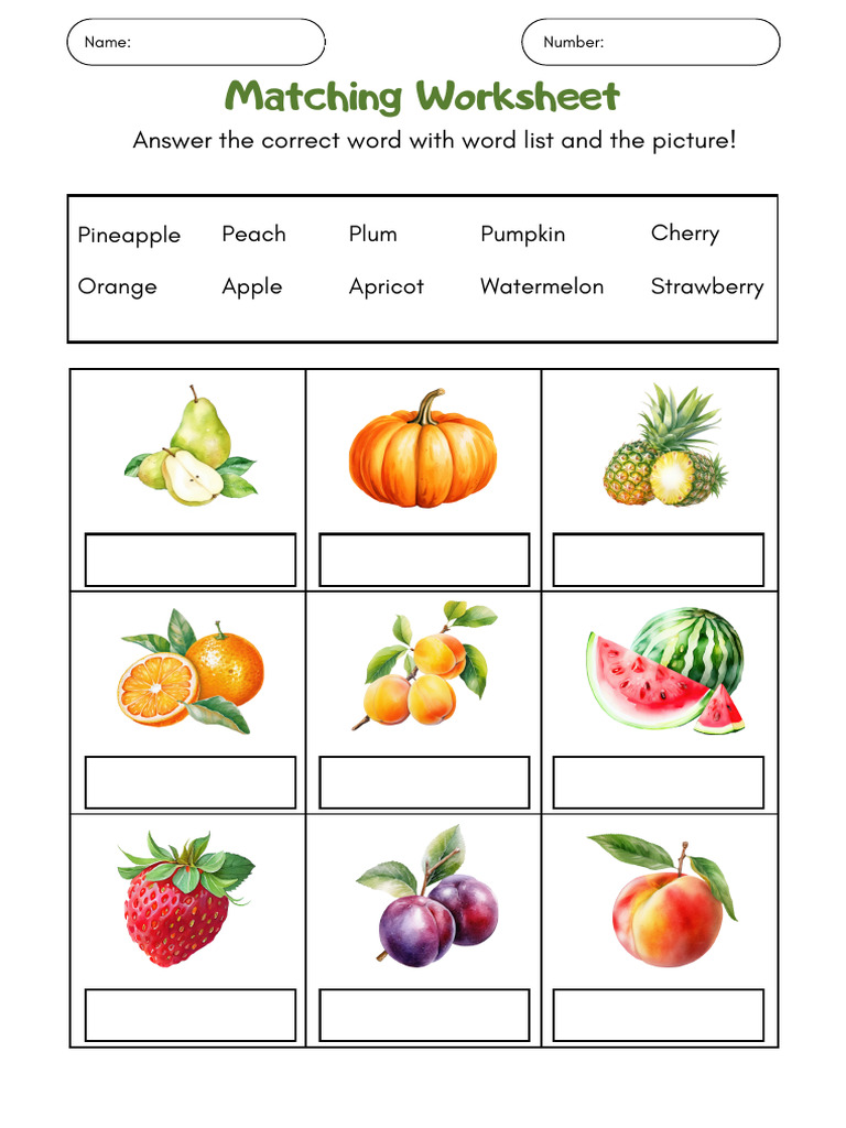 Fruit Matching Worksheet | PDF