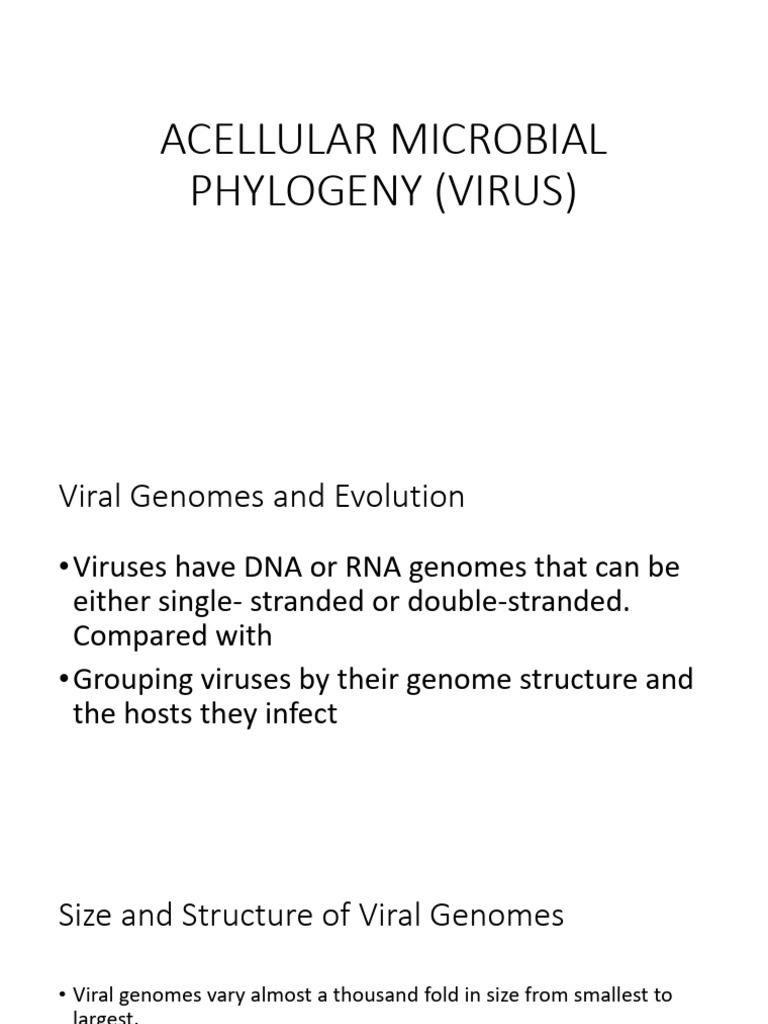 Acellular Microbial Phylogeny (Virus) | PDF | Virus | Rna