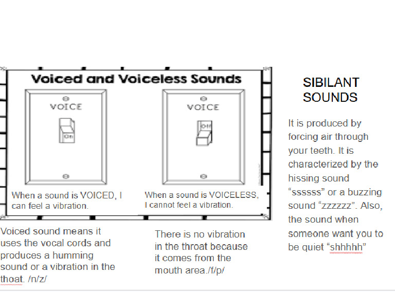 Voiced and Unvoiced Sounds | PDF