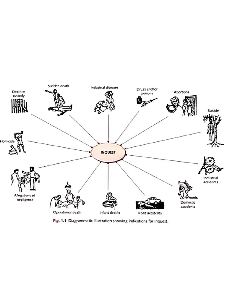 L2 - Types of Inquest and Medical Evidence | PDF