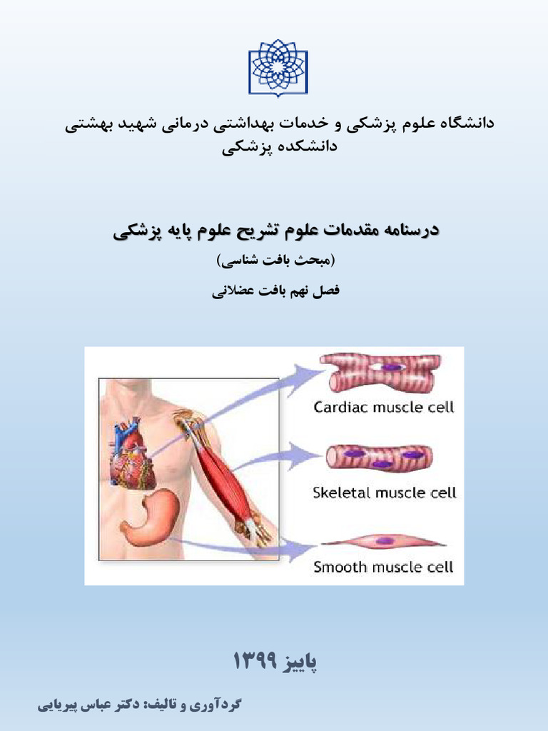 10 Muscle | PDF
