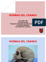 NORMAS DEL CRÁNEO