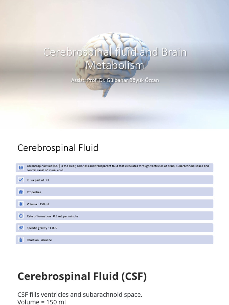 Cerebrospinal Fluid and Brain Metabolism 2 | PDF | Cerebrospinal Fluid ...