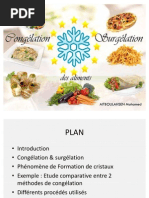 Download Conglation et surglation des aliments  by Peti Pou SN79969222 doc pdf