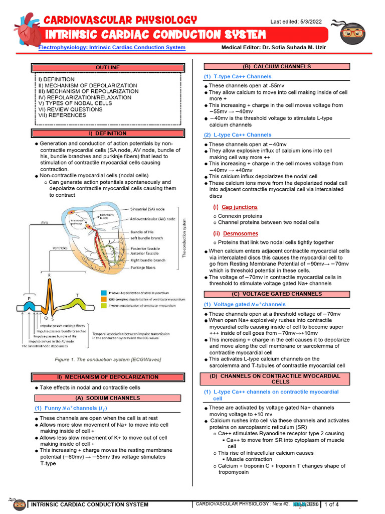 004 - Cardiovascular Physiology) Intrinsic Cardiac Conduction System ...