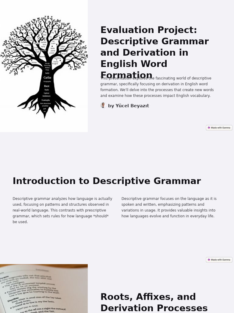 English Word Formation Insights | PDF | Adjective | Word