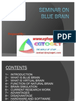 Blue Brain