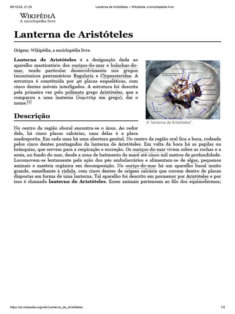 Lanterna de Aristóteles - Wikipédia, A Enciclopédia Livre | PDF
