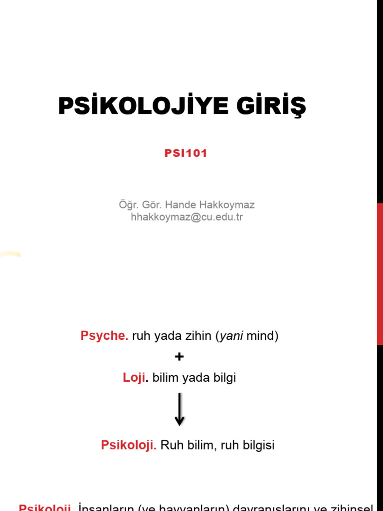 Psikoloji 2 Pdf