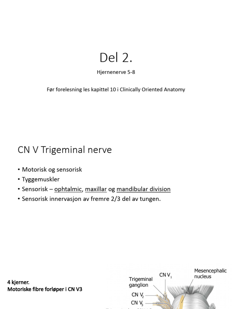 Hjernenerve 5 8 1 pdf
