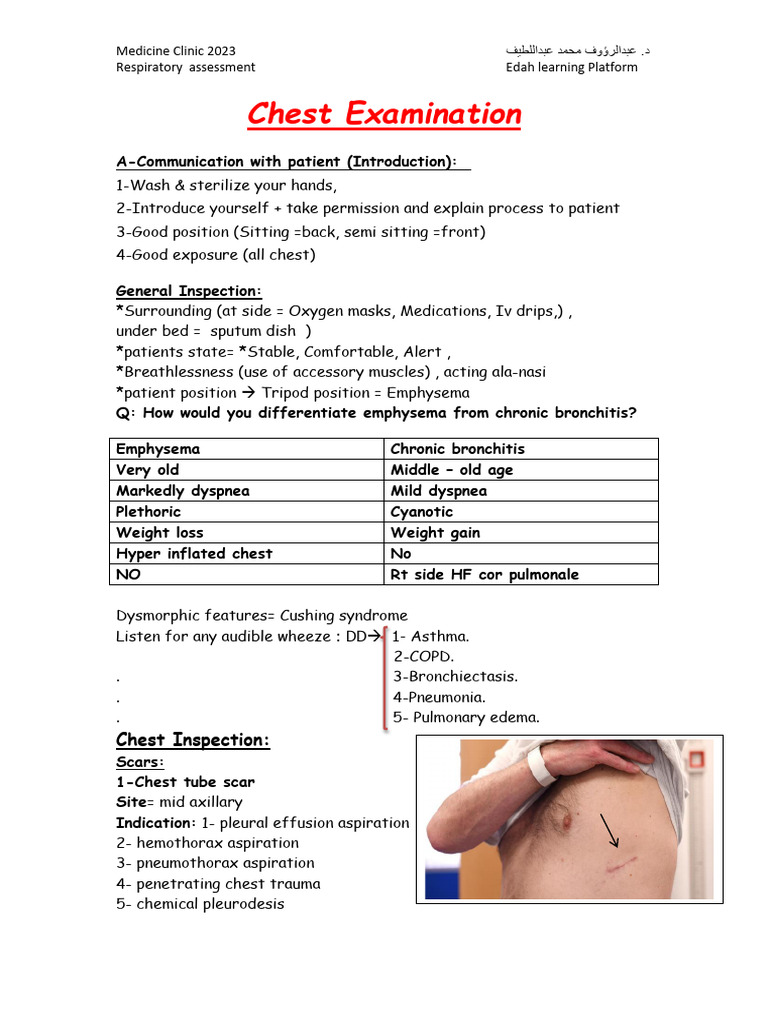 5 - Respiratory Assessment 2023 | PDF | Respiratory Diseases | Chronic ...
