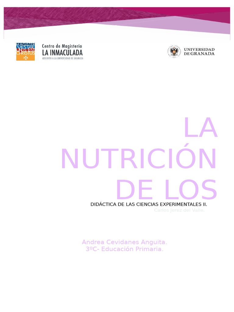 La Nutrición de Los Niños. Andrea | PDF | Nutrición | Dieta y nutrición