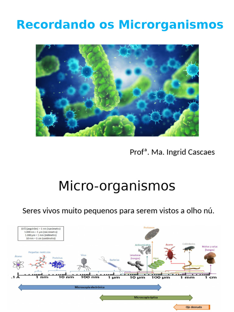 Microrganismos: Tipos e Classificações | PDF | Bactérias | Microrganismo