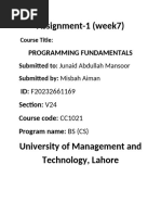 PDF Document